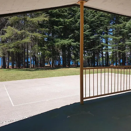 Youth Pinesta بيت شباب