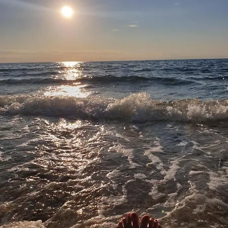 بيت شباب Youth Pinesta *