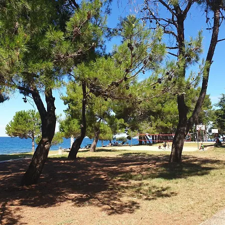 بيت شباب Youth Pinesta