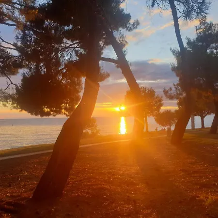 Youth Pinesta Novigrad Istria