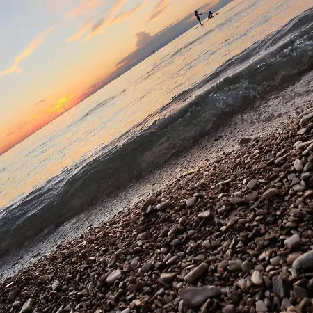 بيت شباب Youth Pinesta