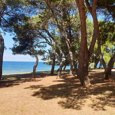 Youth Pinesta Hostel Novigrad (Istria)