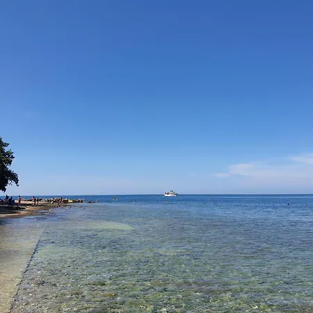 Youth Pinesta Novigrad Istria