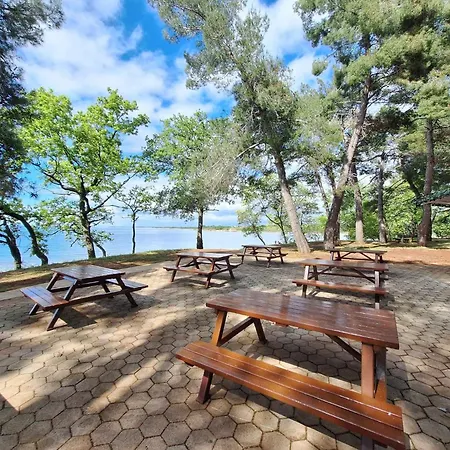 אכסניה Youth Pinesta *