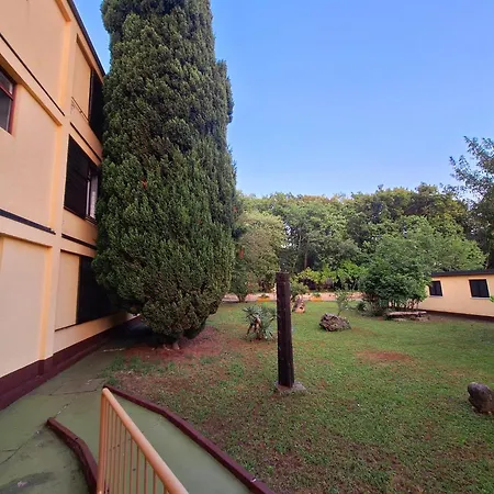 Youth Pinesta * Novigrad Istria