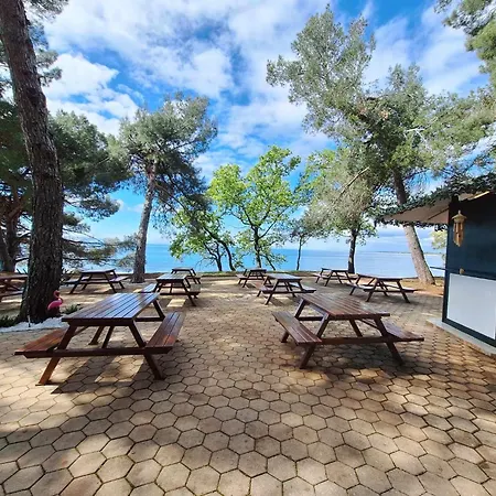 Youth Pinesta بيت شباب *