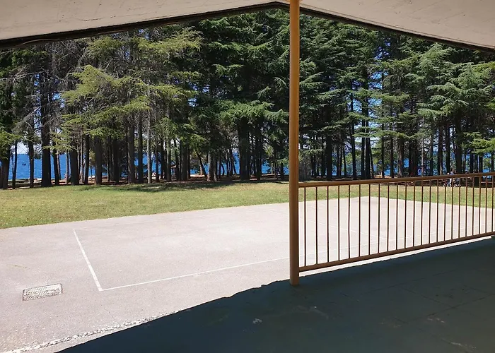 Youth Pinesta אכסניה