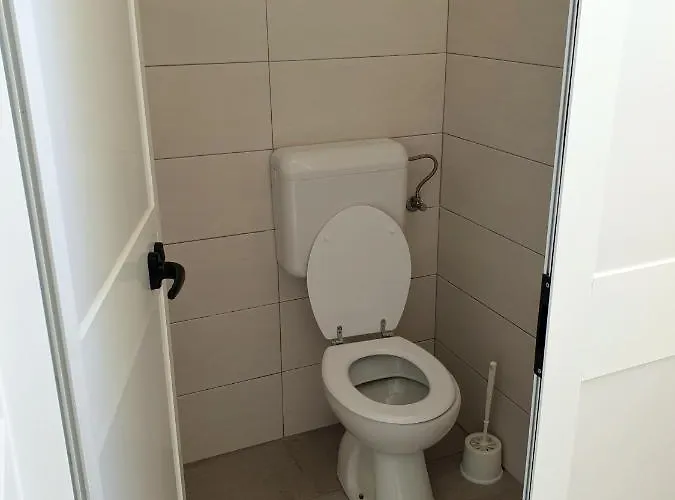 Youth Pinesta Novigrad Istria