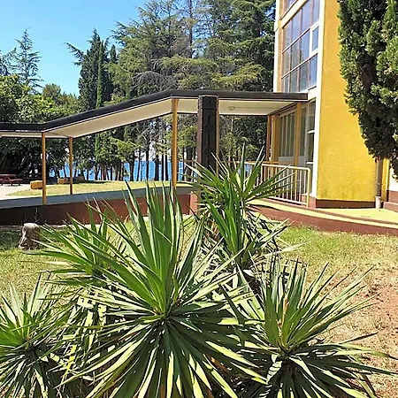 Youth Pinesta Auberge de jeunesse *