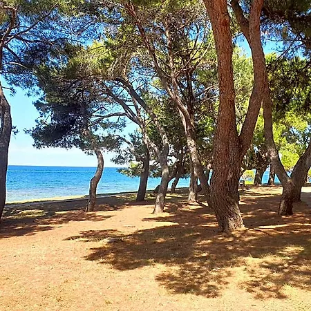 Auberge de jeunesse Youth Pinesta