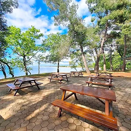 Youth Pinesta Auberge de jeunesse Novigrad Istria