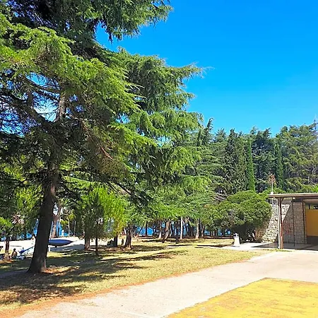 Auberge de jeunesse Youth Pinesta *
