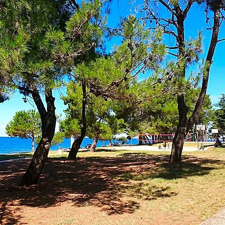 Youth Pinesta * Novigrad Istria