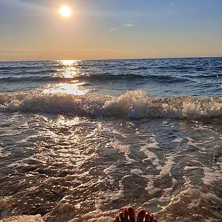 Hostel Youth Pinesta Novigrad Istria