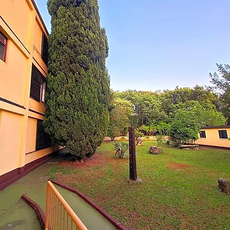 Youth Pinesta Auberge de jeunesse Novigrad Istria