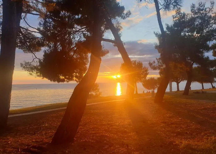 Youth Pinesta Novigrad Istria