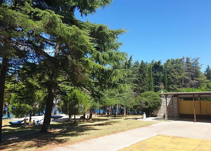 Vandrarhem Youth Pinesta Novigrad Istria