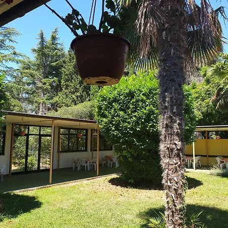 Youth Pinesta Auberge de jeunesse