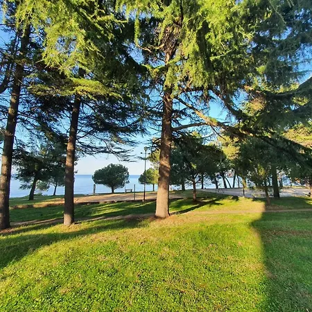 Youth Pinesta Novigrad Istria