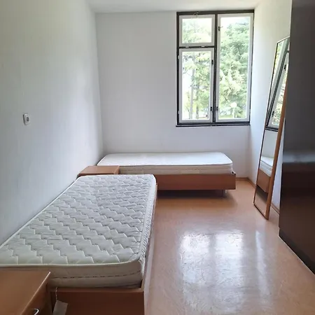 Youth Pinesta Auberge de jeunesse Novigrad Istria