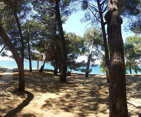 אכסניה Youth Pinesta Novigrad Istria