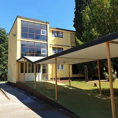 Youth Pinesta Новиград