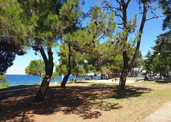 Hostel Youth Pinesta