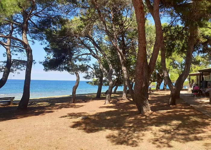 Youth Pinesta Hostel Novigrad Istria