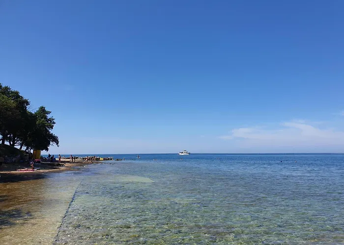 Youth Pinesta Novigrad Istria