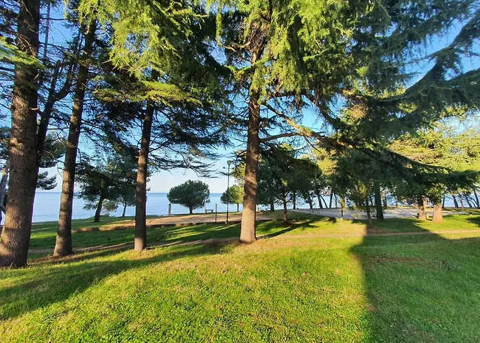 Youth Pinesta Novigrad Istria