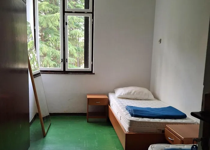 Youth Pinesta Novigrad Istria