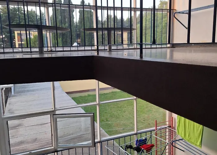 Youth Pinesta Novigrad Istria