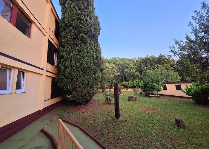 Youth Pinesta * Novigrad Istria