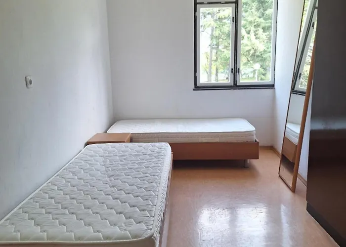 Youth Pinesta Hostel Novigrad Istria