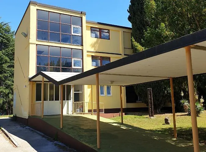 Youth Pinesta Novigrad Istria